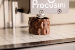 Imprimanta alimentară Procusini 5.0