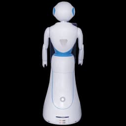 Alice Robot