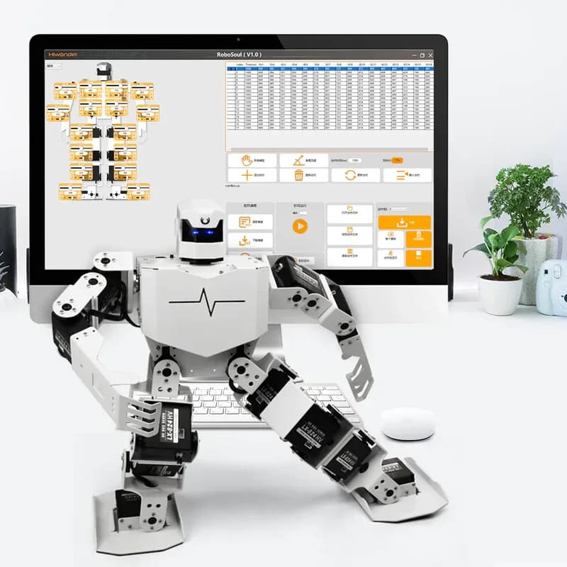 Robot H5S curs