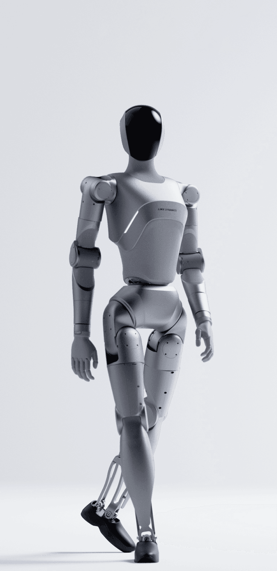 LimX Dynamics Luna