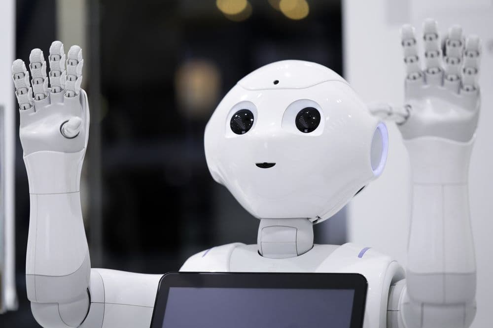Roboti umanoizi prin fonduri europene|Pepper Robot|Vedetele si Edu Roboot|Pepper robot pentru digitalizarea afacerilor|