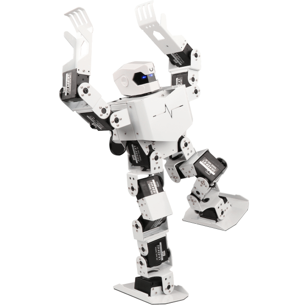 Robot Umanoid H5S 9
