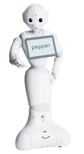 Pepper Robot 3