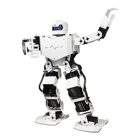 Robot Umanoid H5S 1